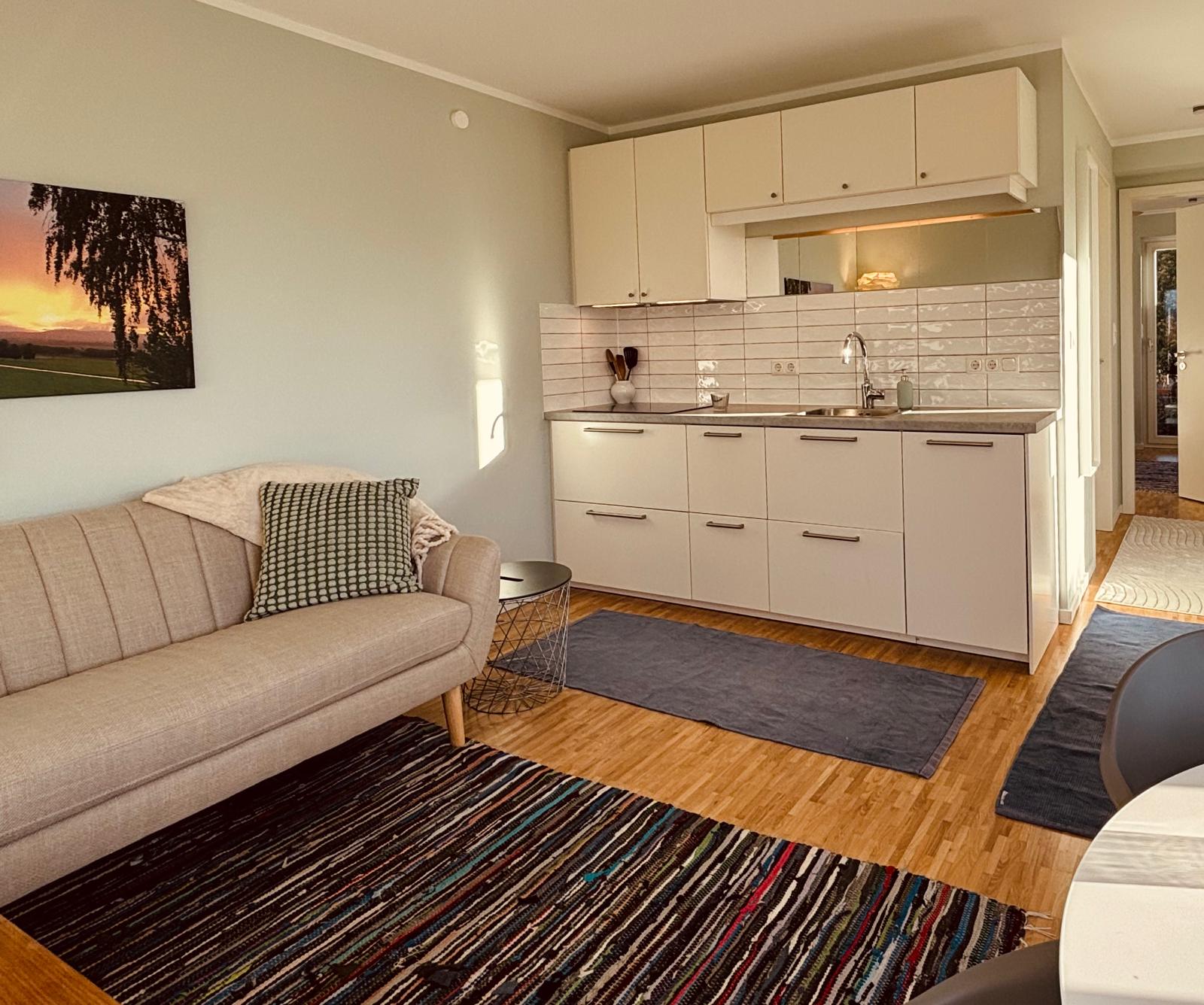 Kitchen-sink-area